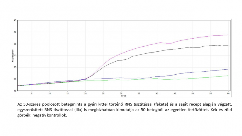 SZBK honlapra ábra.png SZBK honlapra ábra.png