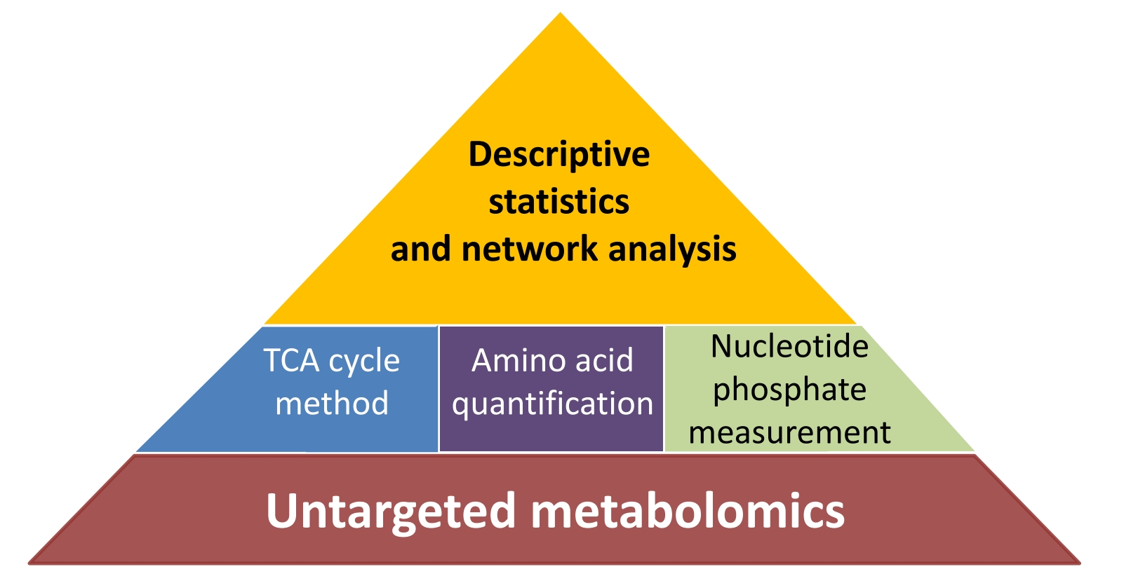 Service pyramid of Metabolomics lab